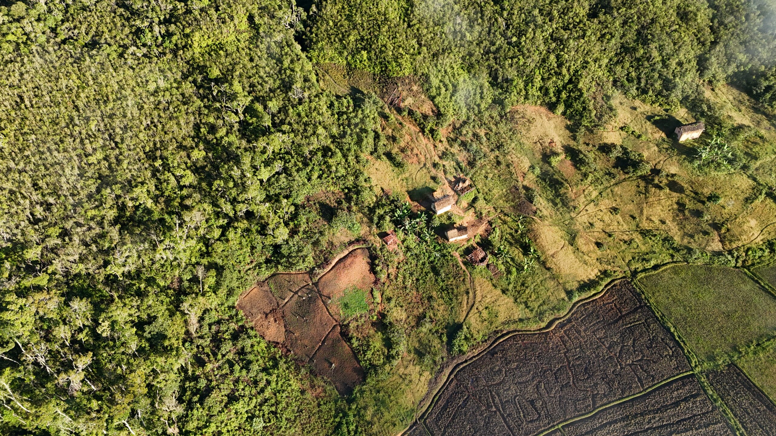 Aerial shot of Madagascar